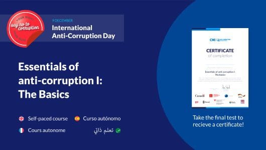 Essentials of anti-corruption: The basics 1