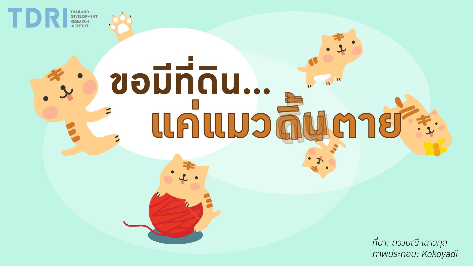 คิดยกกำลังสอง: ขอมีที่ดิน…แค่แมวดิ้นตาย I TDRI