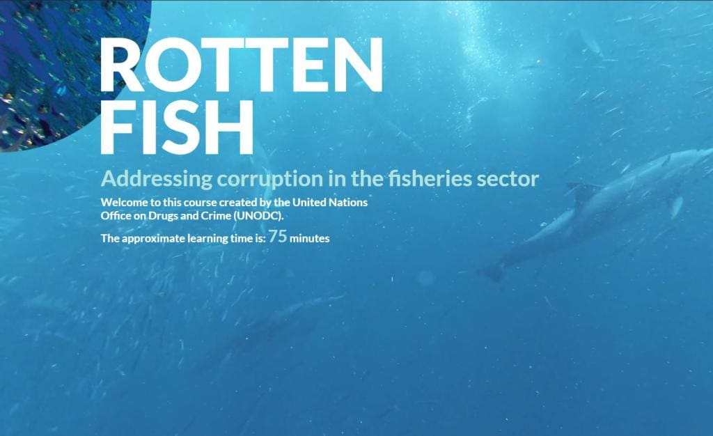 Rotten Fish – Addressing Corruption in The Fisheries Sector