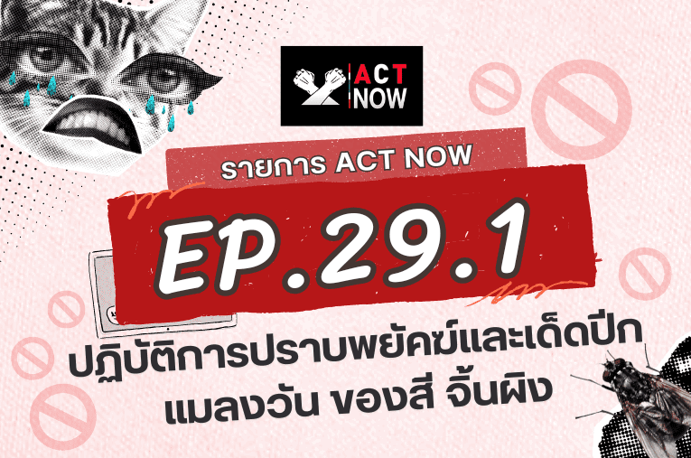 ACT Now EP. 29 PART 1 ปฏิบัติการปราบพยัคฆ์และเด็ดปีกแมลงวัน ของสี จิ้นผิง Convert I ACT